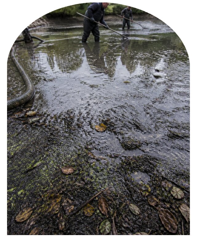 Очистка пруда в Колпине от ила мусора и водорослей с вывозом